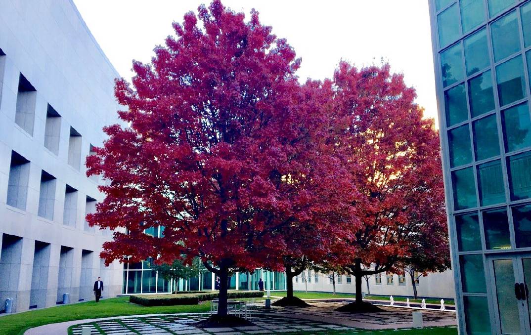 Federal Budget 19/20 announced