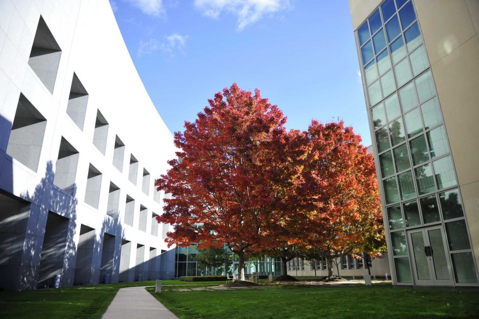 Federal Budget 19/20 announced