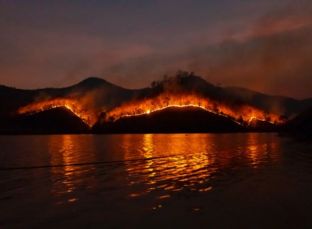 Support for those affected by NSW Bushfires