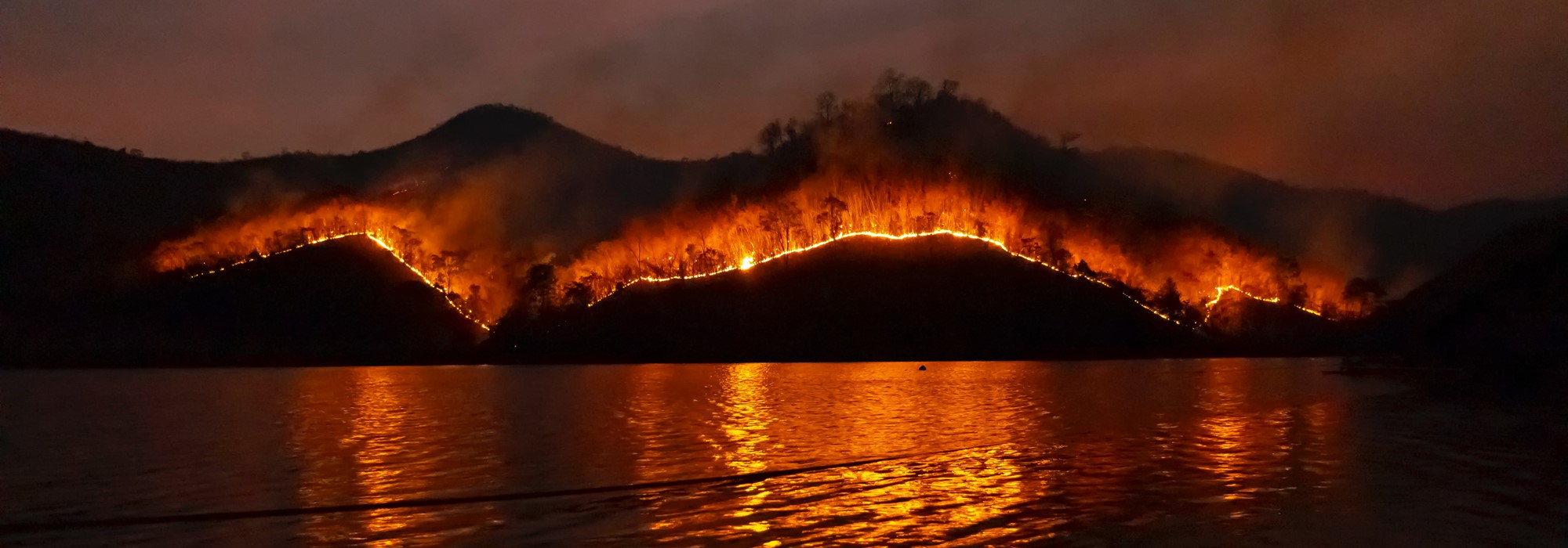 Support for those affected by NSW Bushfires