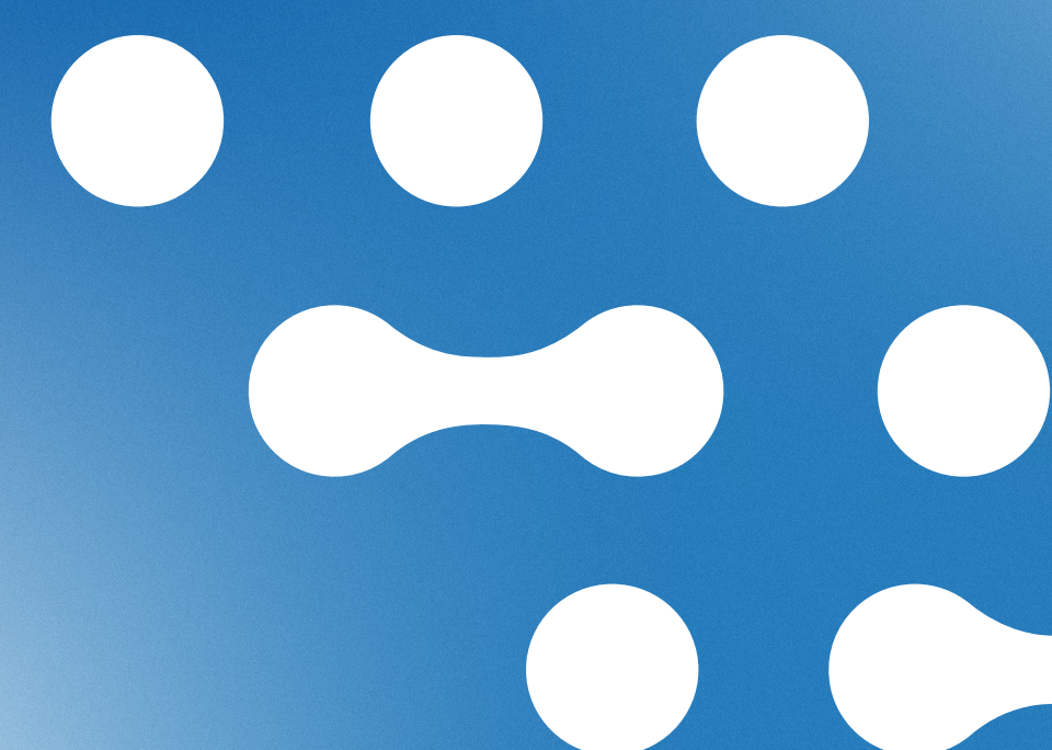 Digital Solutions Program