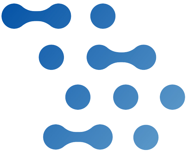 Digital Solutions Program