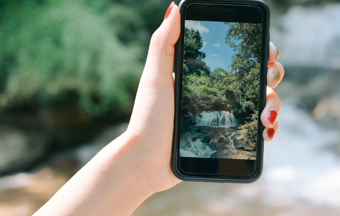 Instagram Reels | Webinar